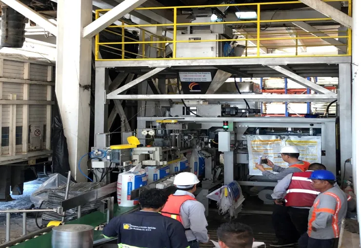 Meksika'daki ISAOSA şirketi için otomatik torbalama ve paletleme ekipmanı